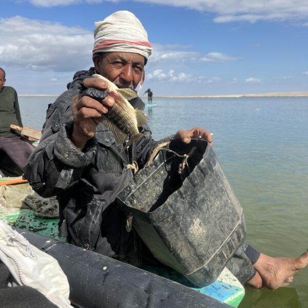 Taking the fish from the net 600x600